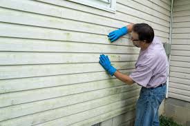 Best Insulated Siding Installation  in Waynesville, MO